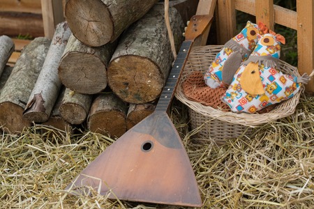 balalaika in the villageの写真素材