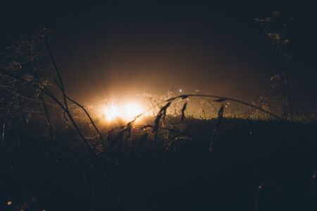 light in the field at night