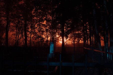 fence in a cemetery on a foggy autumn night.の写真素材