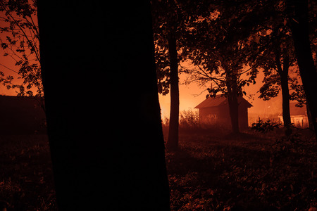 small mysterious house in the autumn foggy forest.の写真素材