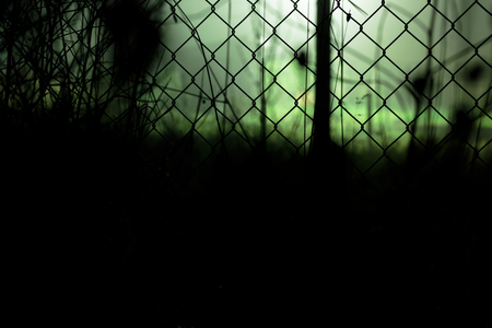 view of the terrible dark forest at night through the mesh fenceの写真素材