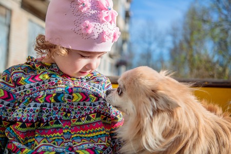small and sweet girl with a fluffy dogの写真素材
