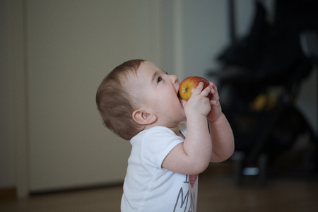 small child holds his hands apple and gnawsの写真素材
