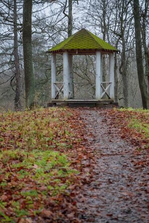 gazebo in the forest in the autumn seasonの写真素材