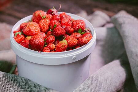 natural and fresh strawberries in the white windの写真素材