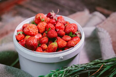 natural and fresh strawberries in the white windの写真素材