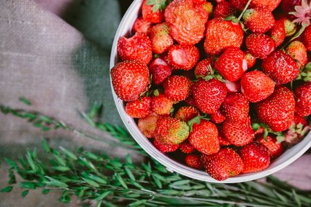 natural and fresh strawberries in the white windの写真素材