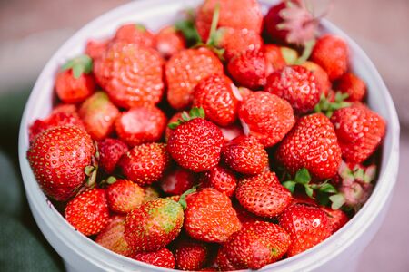 natural and fresh strawberries in the white windの写真素材
