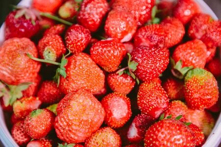 natural and fresh strawberries in the white windの写真素材