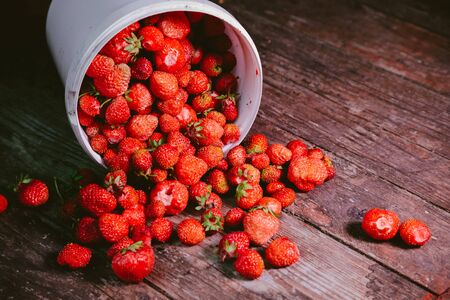 sprinkled natural and fresh strawberry from a white bucketの写真素材