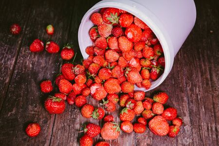 sprinkled natural and fresh strawberry from a white bucketの写真素材