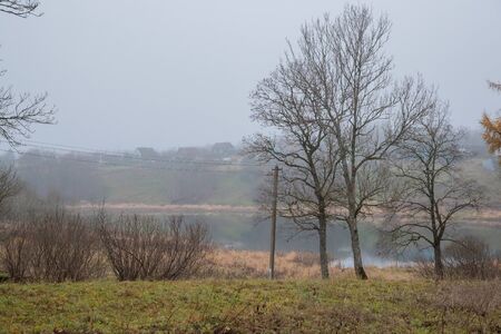 dry trees in the fall against the backdrop of the lakeの写真素材