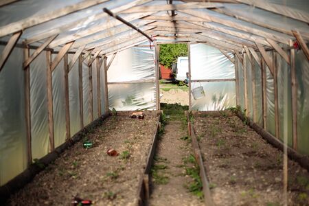 ordinary greenhouse made of polyethylene covering in the daytimeの写真素材