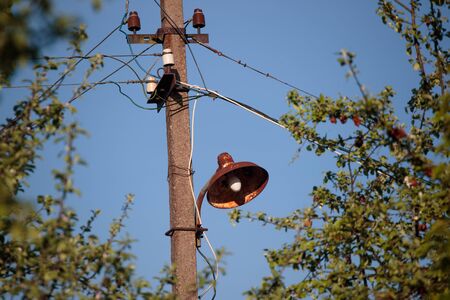 support with electronic wires in the forestの写真素材