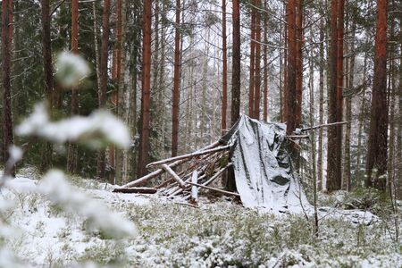 ruined hut in the winter forestの写真素材