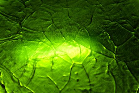 abstract green backgroundの写真素材