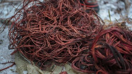 Bare copper wires in the snowの写真素材