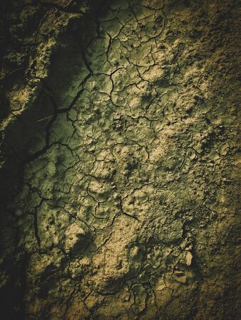 poisoned dead dry soil post apocalypse backgroundの写真素材