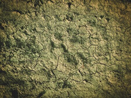 poisoned dead dry soil post apocalypse backgroundの写真素材