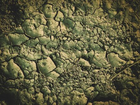 poisoned dead dry soil post apocalypse backgroundの写真素材