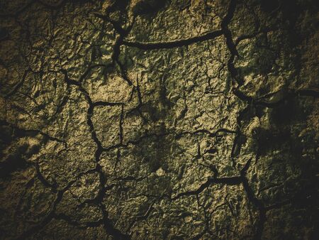 poisoned dead dry soil post apocalypse backgroundの写真素材