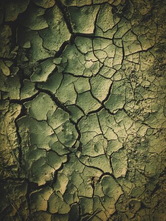 poisoned dead dry soil post apocalypse backgroundの写真素材