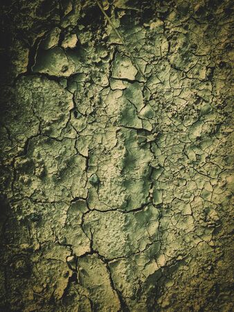 poisoned dead dry soil post apocalypse backgroundの写真素材