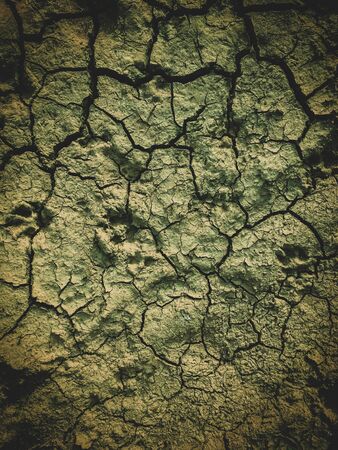 poisoned dead dry soil post apocalypse backgroundの写真素材