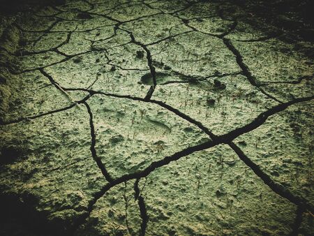 poisoned dead dry soil post apocalypse backgroundの写真素材