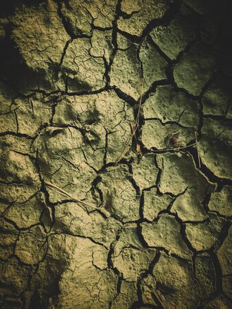 poisoned dead dry soil post apocalypse backgroundの写真素材