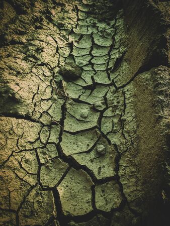 poisoned dead dry soil post apocalypse backgroundの写真素材