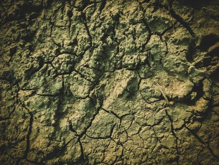 poisoned dead dry soil post apocalypse backgroundの写真素材
