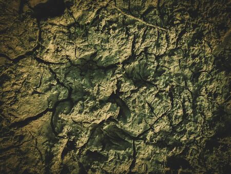 poisoned dead dry soil post apocalypse backgroundの写真素材