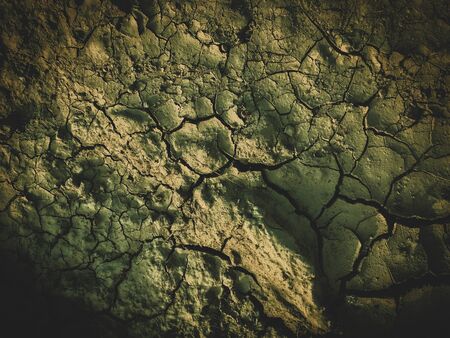 poisoned dead dry soil post apocalypse backgroundの写真素材