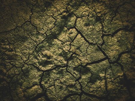 poisoned dead dry soil post apocalypse background