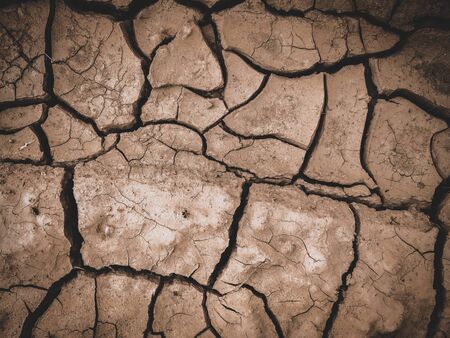 dry cracked brown earth backgroundの写真素材