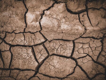 dry cracked brown earth backgroundの写真素材