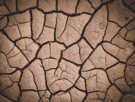 dry cracked brown earth backgroundの写真素材