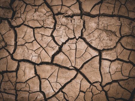 dry cracked brown earth backgroundの写真素材