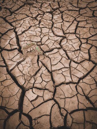 dry cracked brown earth backgroundの写真素材