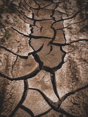 dry cracked brown earth backgroundの写真素材