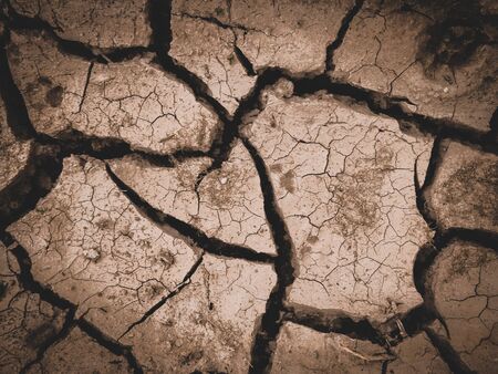 dry cracked brown earth backgroundの写真素材