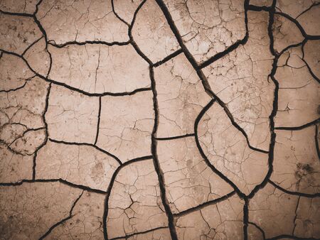 dry cracked brown earth backgroundの写真素材