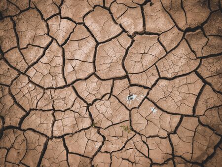dry cracked brown earth backgroundの写真素材