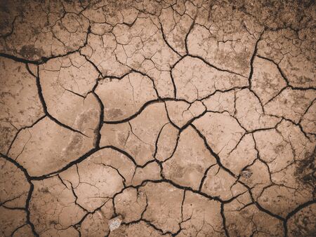 dry cracked brown earth backgroundの写真素材