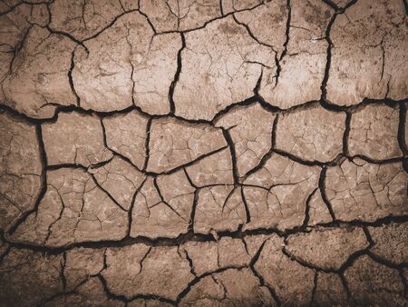 dry cracked brown earth backgroundの写真素材
