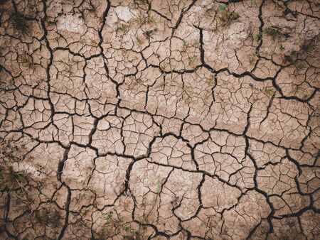 dry cracked brown earth backgroundの写真素材