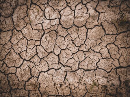 dry cracked brown earth backgroundの写真素材