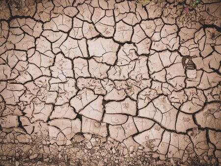 dry cracked brown earth backgroundの写真素材