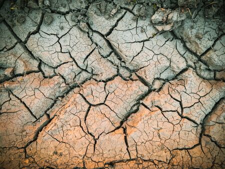 dried dehydrated cracked soil top viewの写真素材